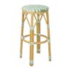Bolero Parijse Stijl PE Rattan Barkrukken Licht Groen (2 Stuks)