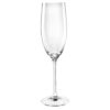 Chef & Sommelier Cabernet Champagneglazen 240ml (24 Stuks)