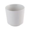Churchill White Kop Zonder Oor 227ml (12 stuks)