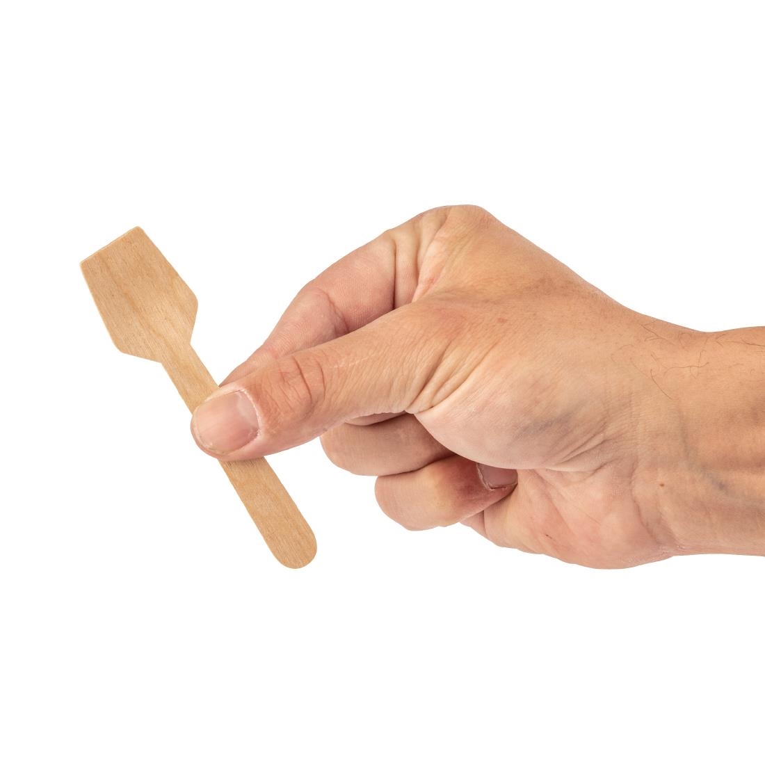 Fiesta Compostable biologisch afbreekbare houten ijslepels (100 stuks)