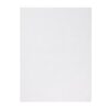 Fiesta Composteerbare Burger Wikkels Wit 250x350mm (200 stuks)