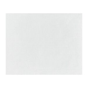 Fiesta Composteerbare Burgerverpakkingen Wit 250x200mm (200 stuks)