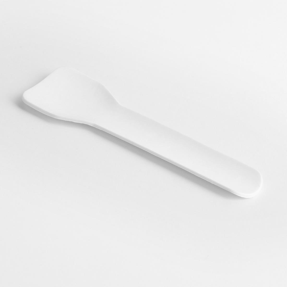 Fiesta Composteerbare Papieren Ijsschepjes 95mm (100 stuks)