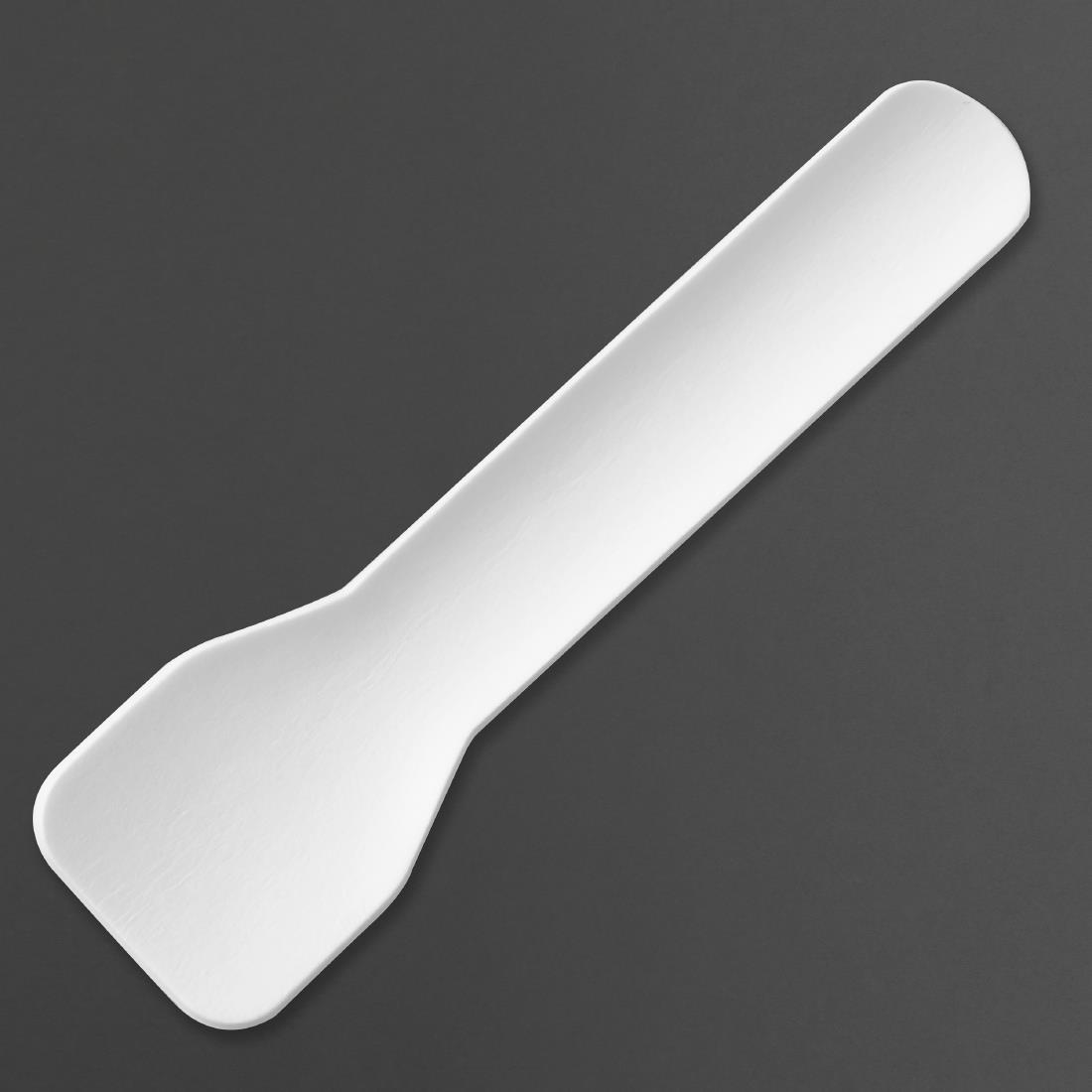 Fiesta Composteerbare Papieren Ijsschepjes 95mm (100 stuks)