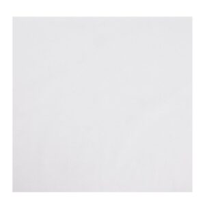 Fiesta Composteerbare Pizzadoos Inlegvellen 355mm (200 Stuks)