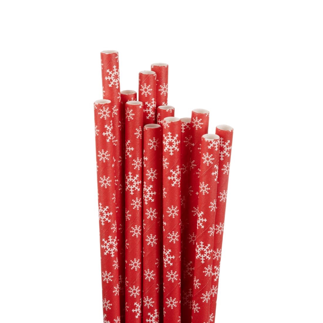 Fiesta Composteerbare Sneeuwvlok Papieren Rietjes 210mm (250 stuks)