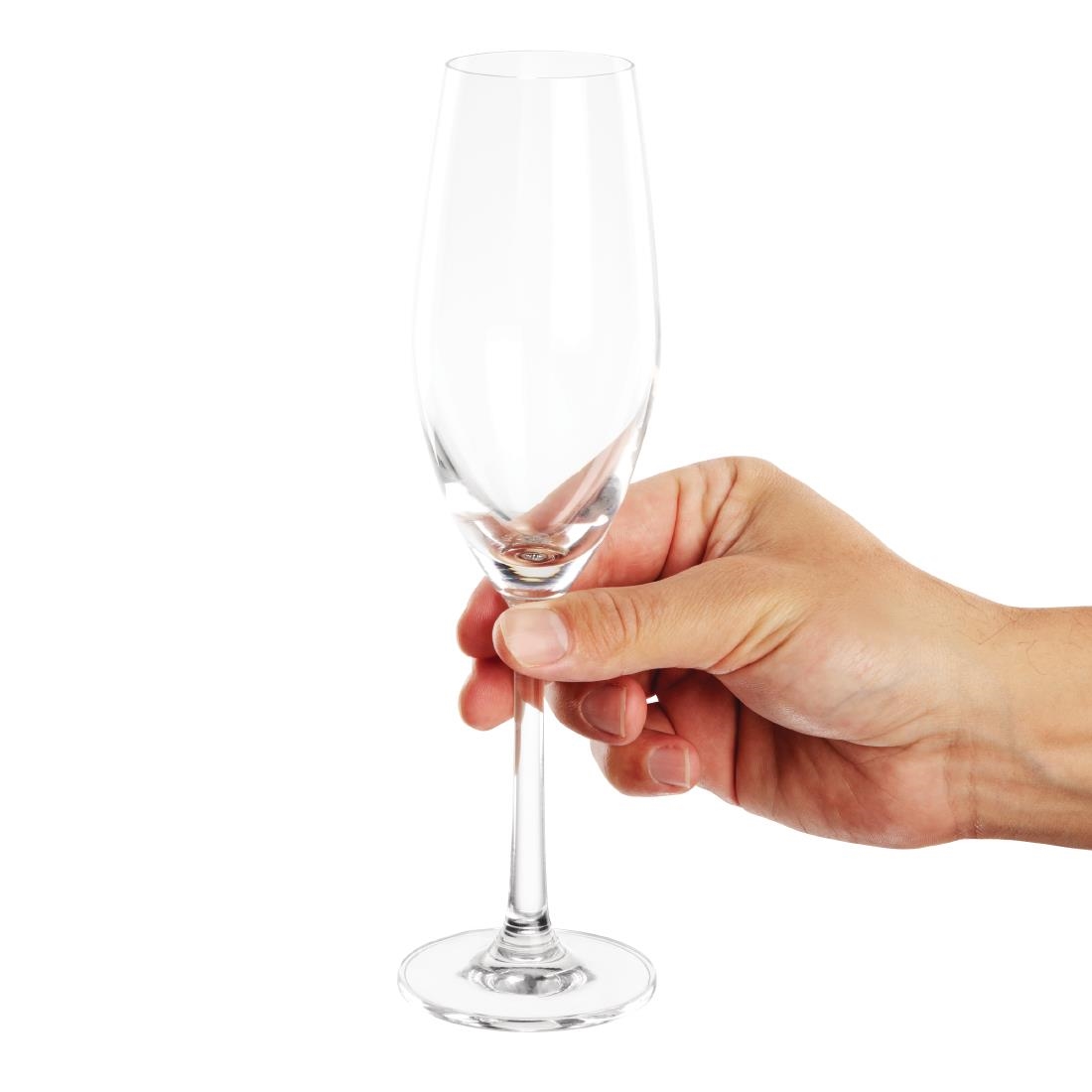 Olympia Cordoba Champagneglazen 210ml (6 Stuks)