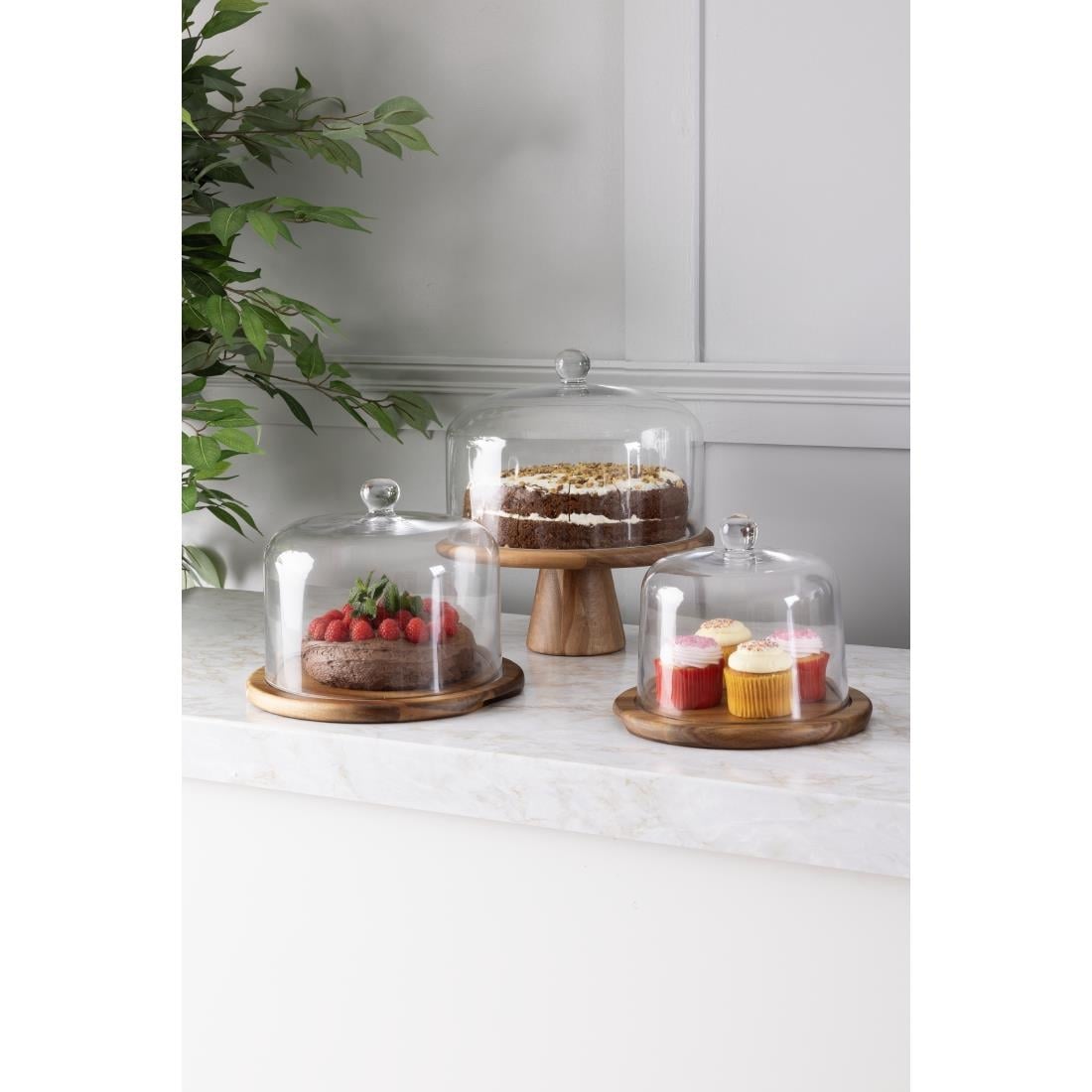 Olympia glazen stolp 28,5cm voor CS013