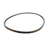 Polar riem