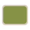 Roltex America polyester dienblad 46 x 36cm groen