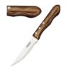 Tramontina Jumbo steakmessen (4 stuks)