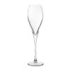 Utopia Monte Carlo Champagneglazen 230ml (24 Stuks)
