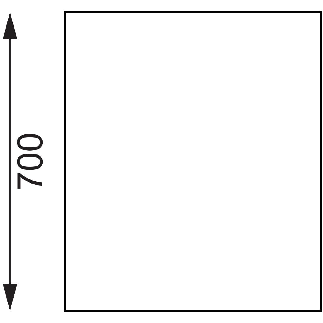 Vogue RVS werktafel met achteropstand 90x180x70cm