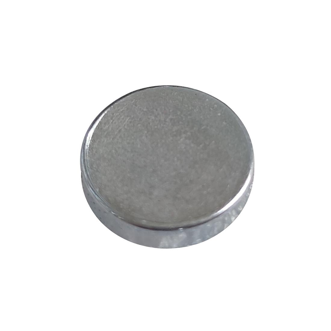 Polar Magneet - Afbeelding 2