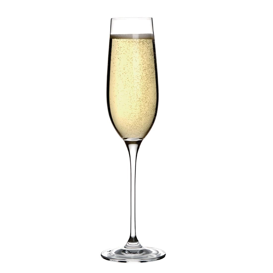 Olympia Campana champagneglazen 26cl (6 stuks) - Afbeelding 3