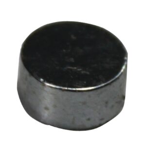 Buffalo Deur Magneet