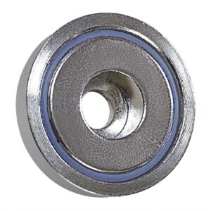 Buffalo magneet