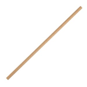 Fiesta Compostable papieren rietjes kraft (250 stuks)