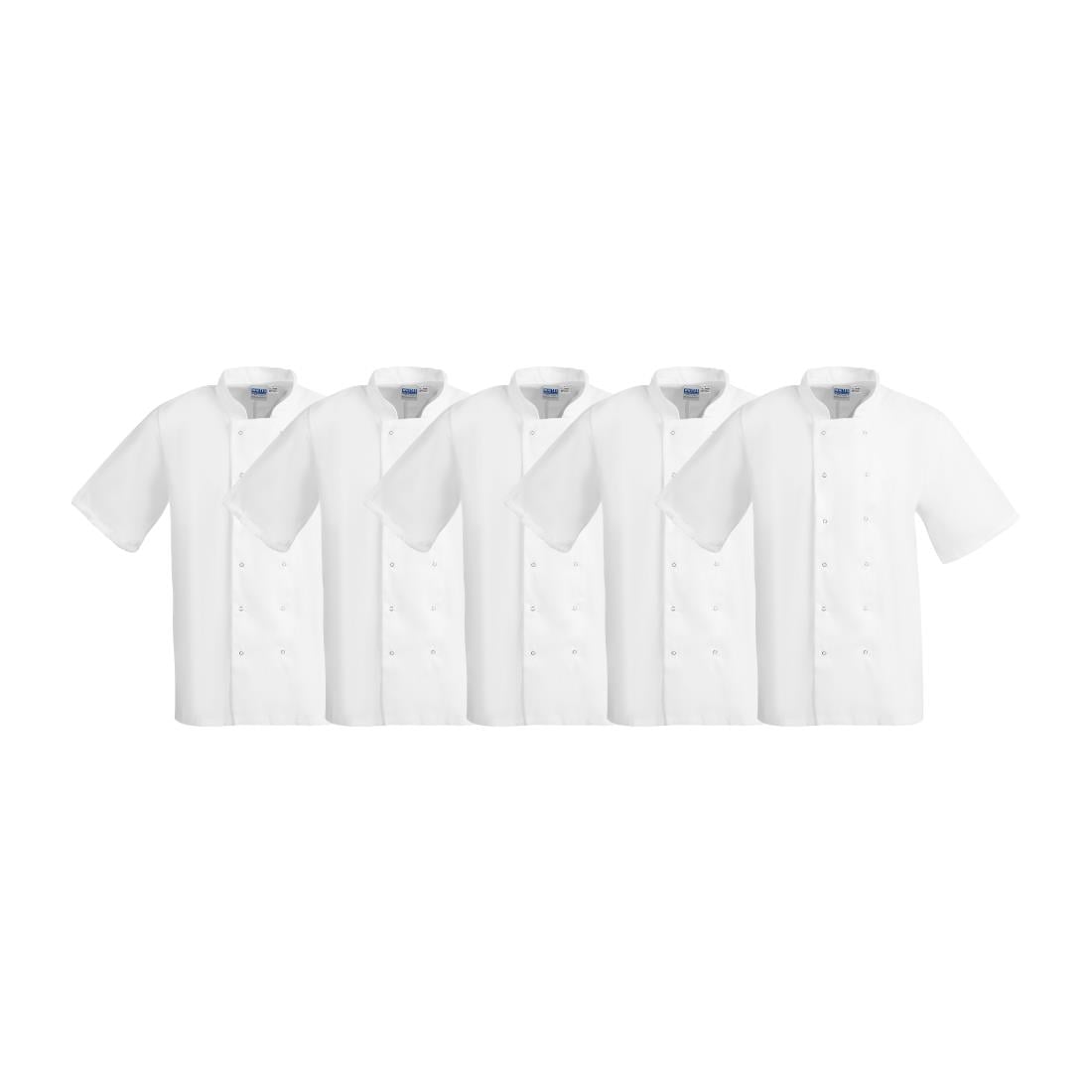 Whites Boston Unisex Koksjas Wit L (5 stuks)