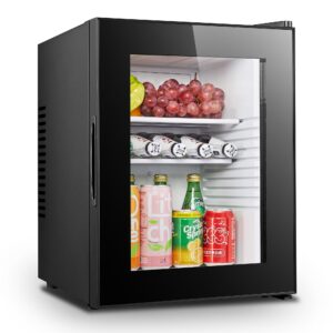 MINIBAR 40L GLASDEUR PELTIER